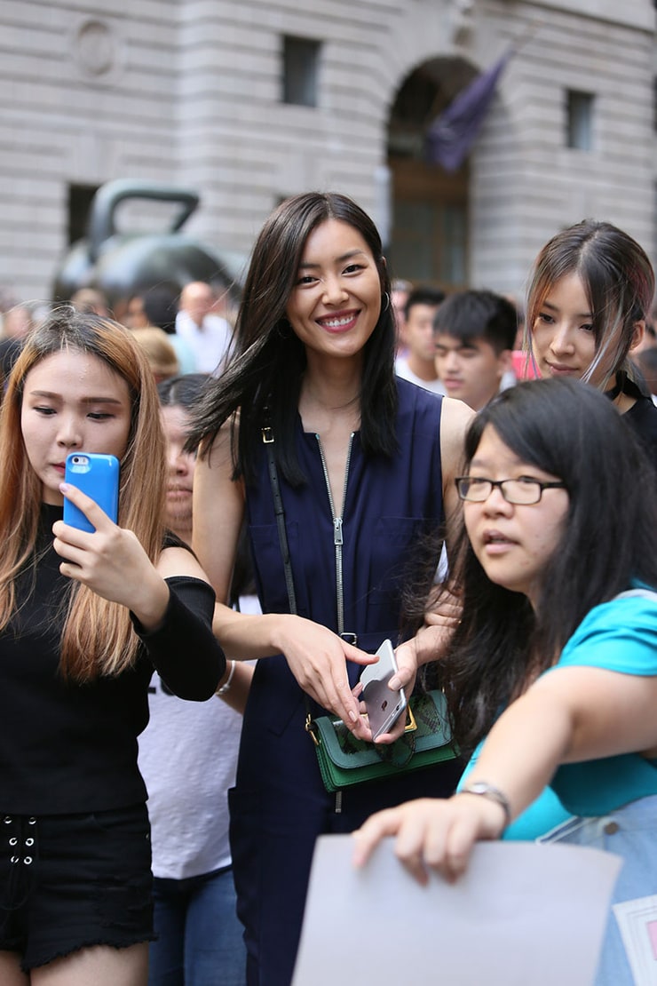 Liu Wen