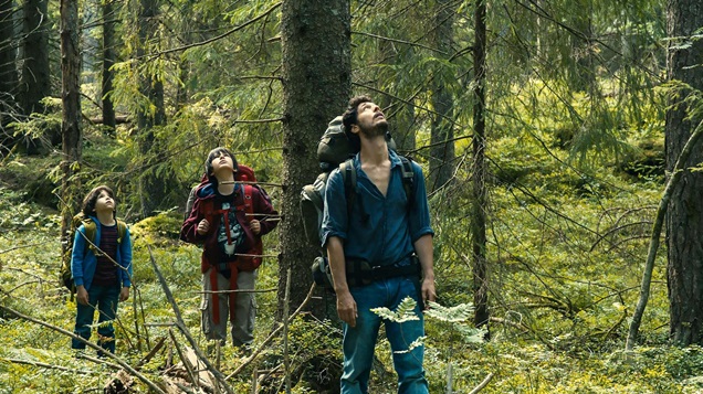Dans la forêt