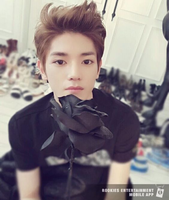 Tae Yong