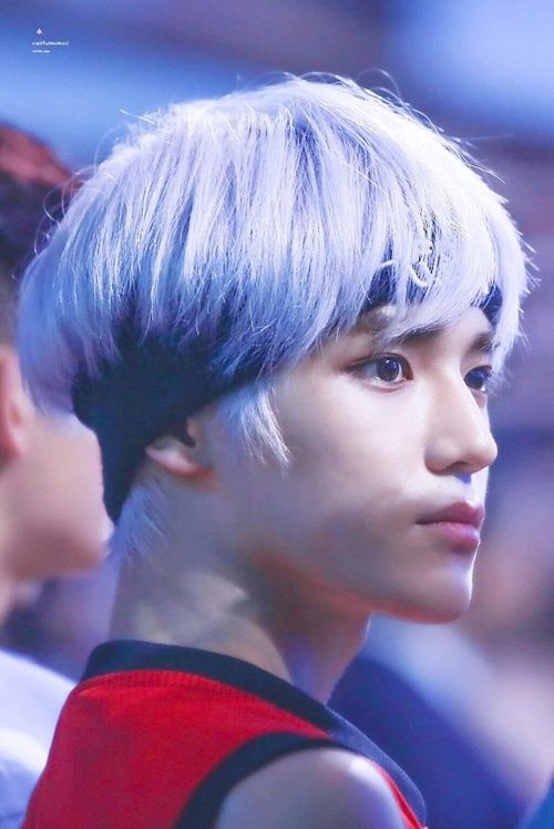 Tae Yong Tae Yong