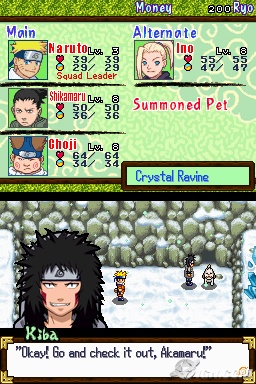 Naruto: Path of the Ninja 2
