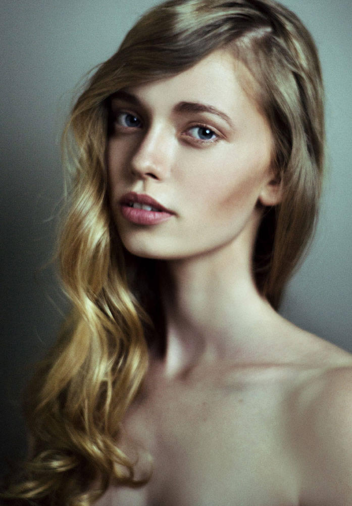 Lila Flowers Lila Flowers