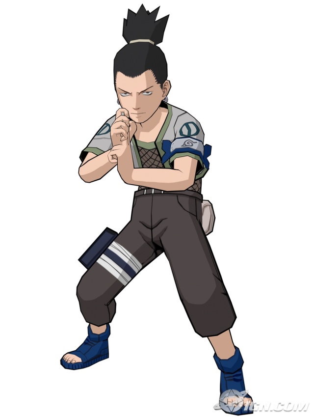 Naruto: Clash of Ninja Revolution