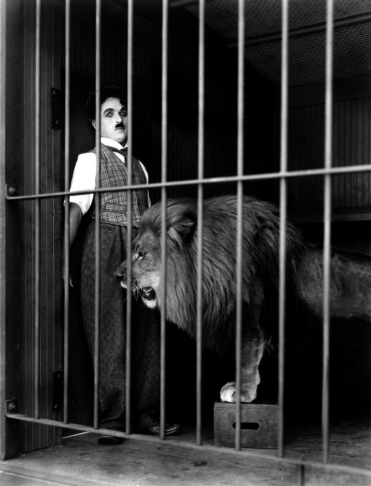 The Circus (1928) The Circus (1928)