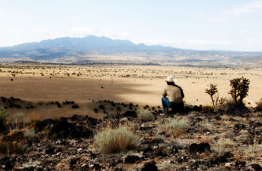 No Country for Old Men