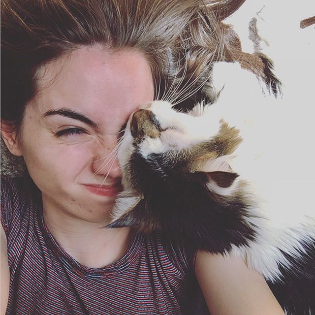 Sarah Desjardins
