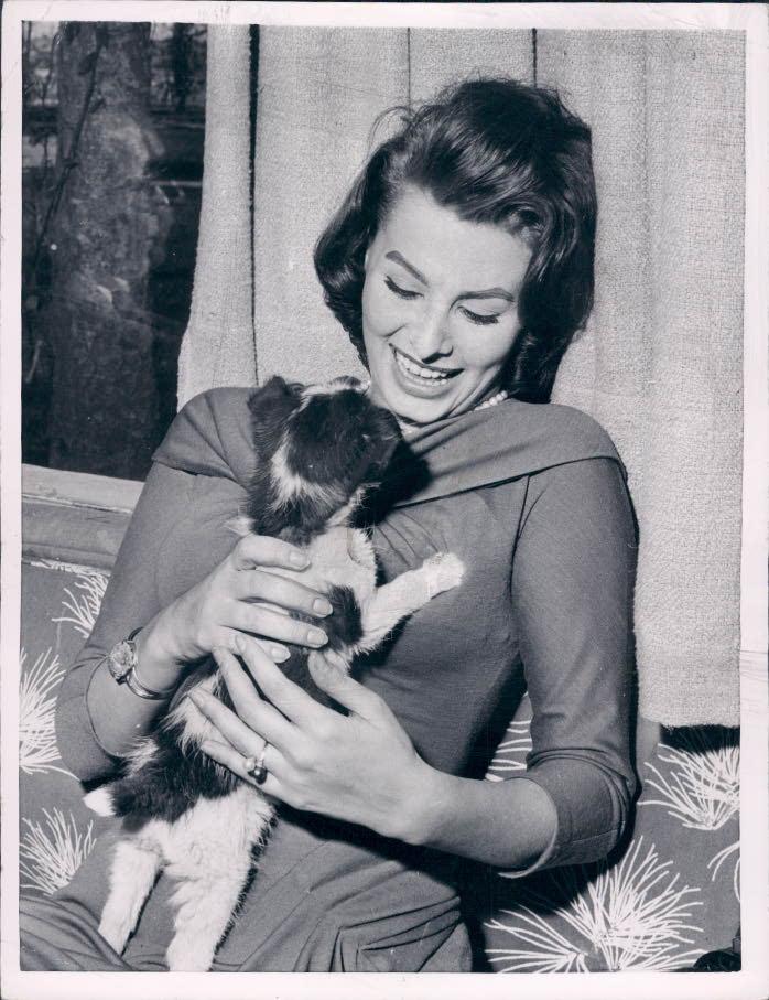 Sophia Loren Sophia Loren