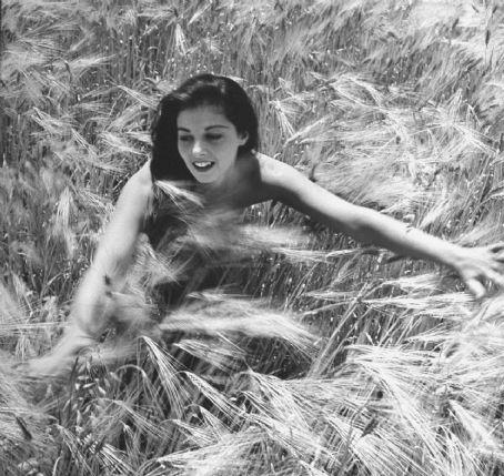 Pier Angeli