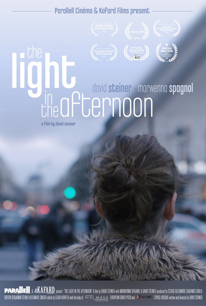 The light in the afternoon (2016)