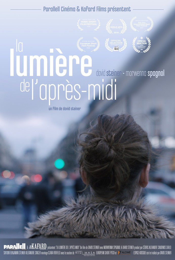 The light in the afternoon (2016) The light in the afternoon (2016)