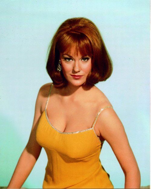 Barbara Rhoades Barbara Rhoades
