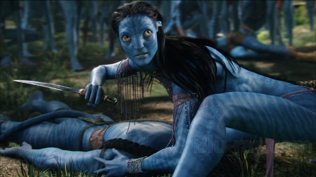 Avatar (DVD + Blu-ray)