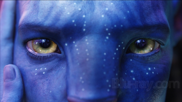 Avatar (DVD + Blu-ray)