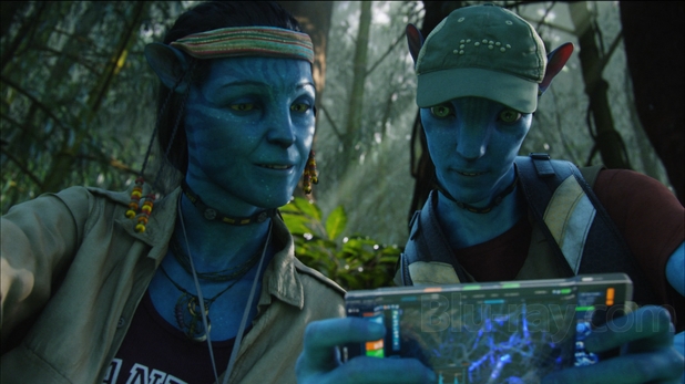 Avatar (DVD + Blu-ray)