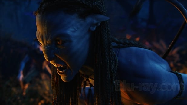 Avatar (DVD + Blu-ray)