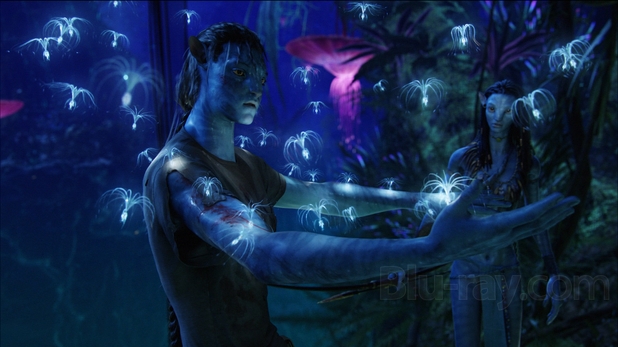 Avatar (DVD + Blu-ray)