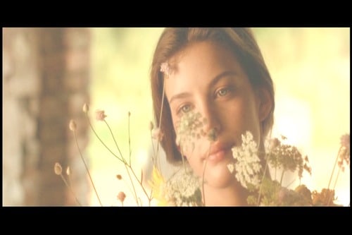 Stealing Beauty