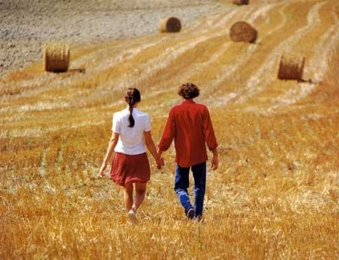 Stealing Beauty Stealing Beauty