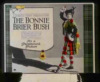 The Bonnie Brier Bush