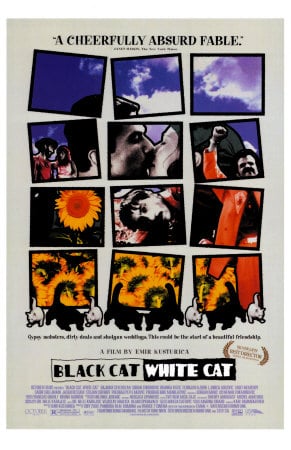 Black Cat, White Cat Black Cat, White Cat