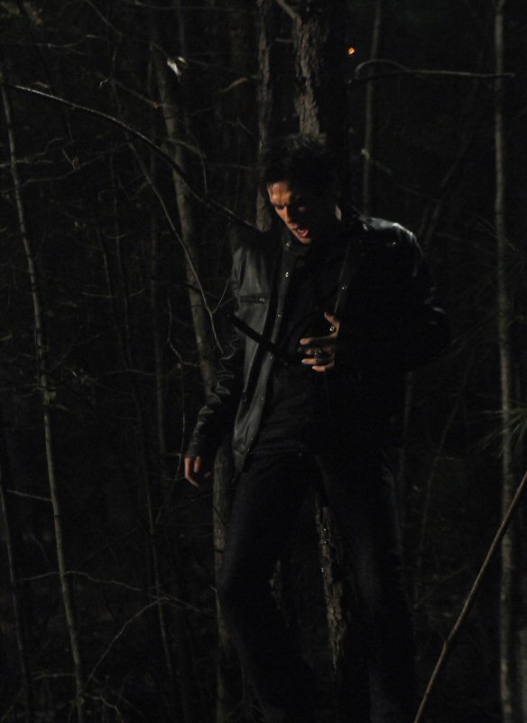 Damon Salvatore