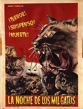 The Night of a Thousand Cats The Night of a Thousand Cats