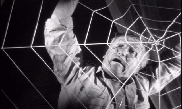 Horrors of Spider Island Horrors of Spider Island