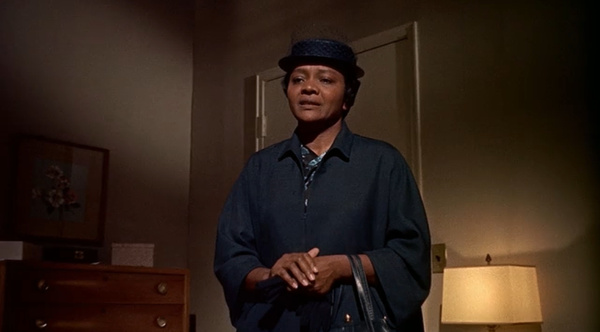 Imitation of Life (1959)