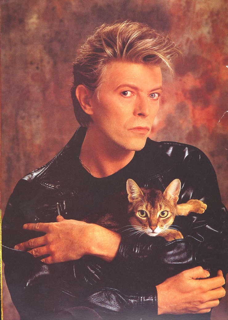David Bowie David Bowie