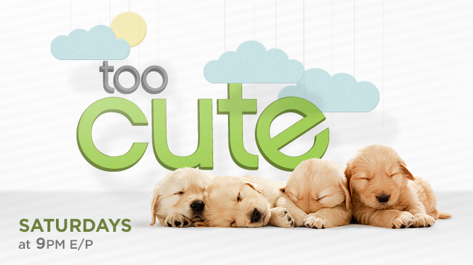 Too Cute!