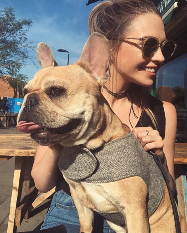 Abigail Halliday Abigail Halliday
