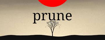 Prune