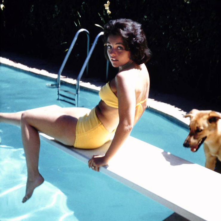 Dawn Wells Dawn Wells