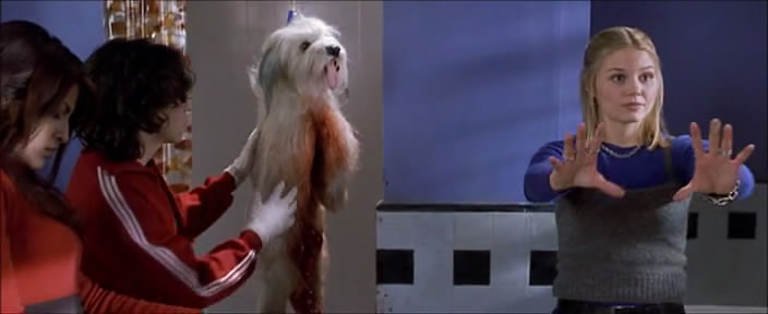 Urban Legends: Final Cut