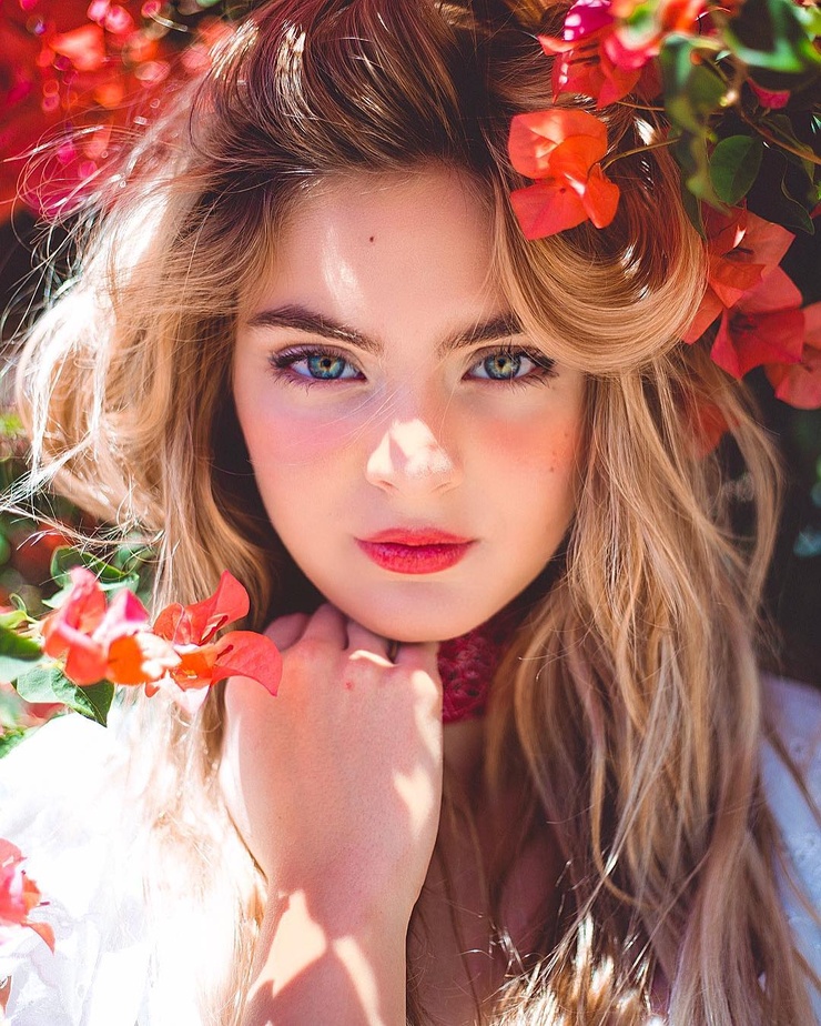 Brighton Sharbino