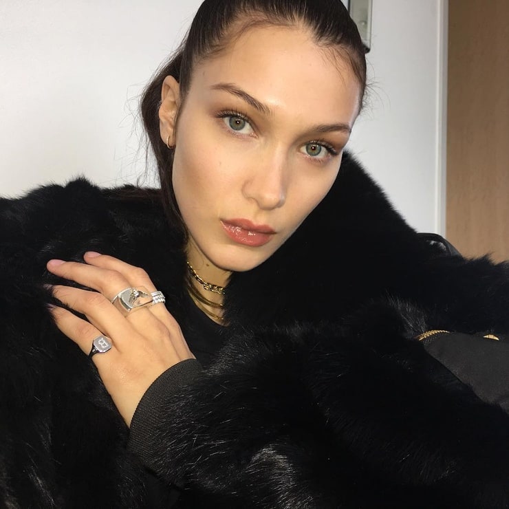 Bella Hadid Image