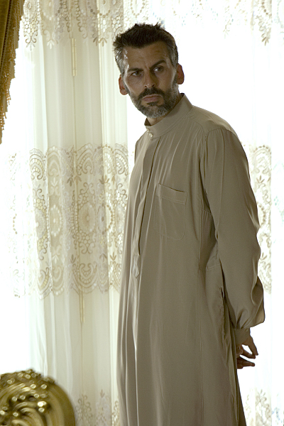Oded Fehr