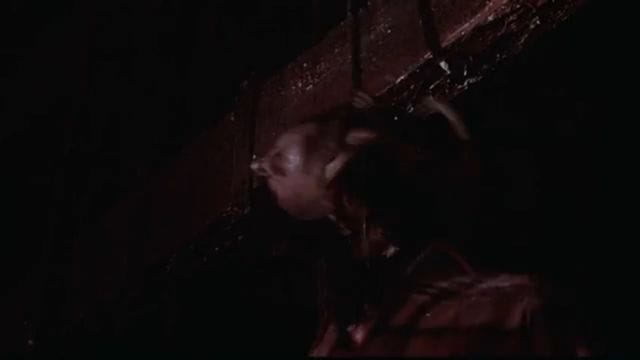 My Bloody Valentine