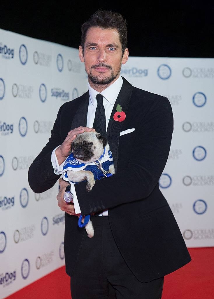 David Gandy