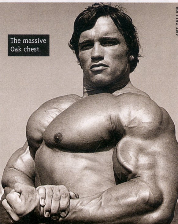 Arnold Schwarzenegger Arnold Schwarzenegger