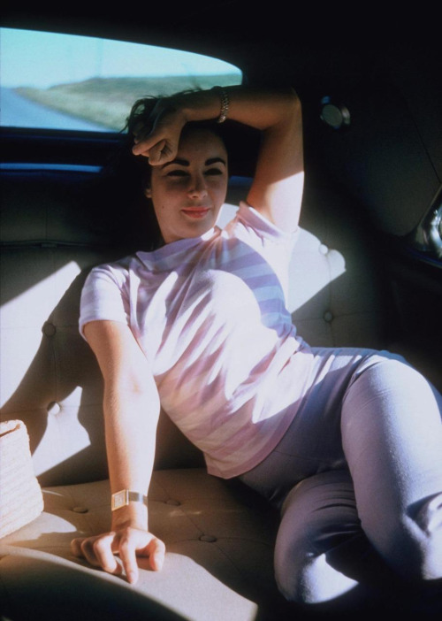 Elizabeth Taylor Elizabeth Taylor