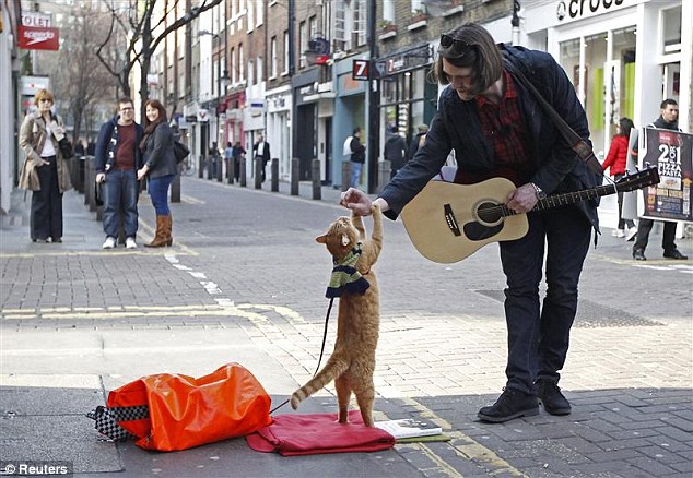 A Street Cat Named Bob