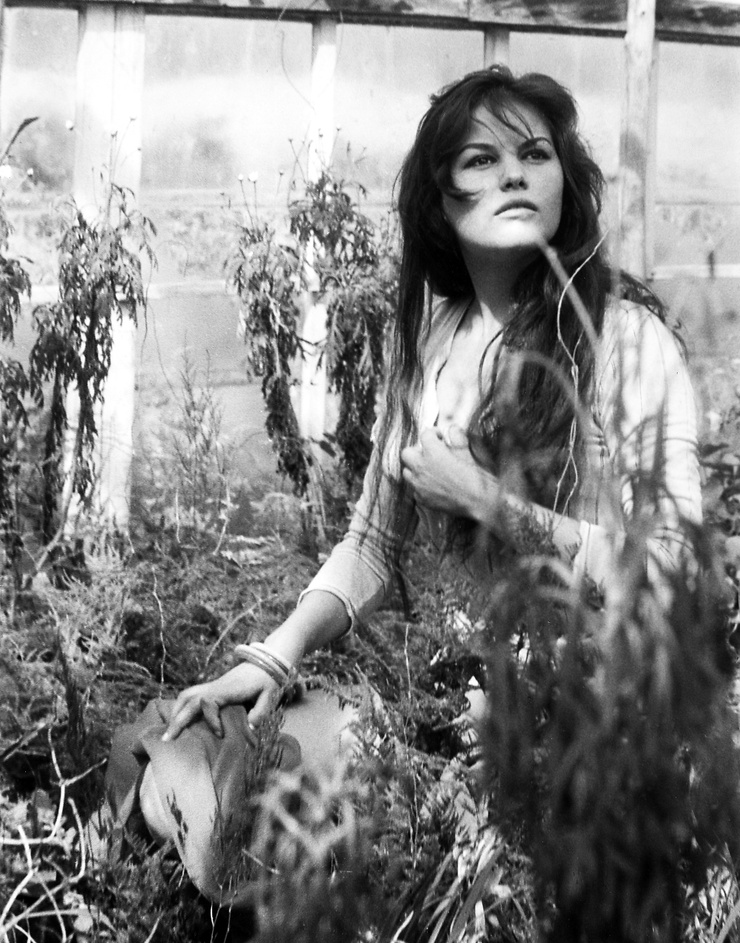 Claudia Cardinale Claudia Cardinale