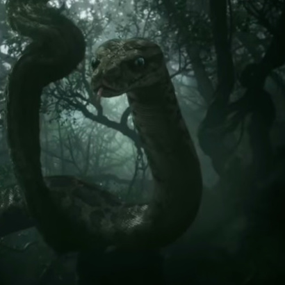 The Jungle Book The Jungle Book