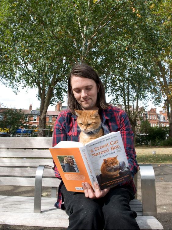 A Street Cat Named Bob: How One Man and His Cat Found Hope on the Streets