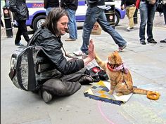A Street Cat Named Bob: How One Man and His Cat Found Hope on the Streets