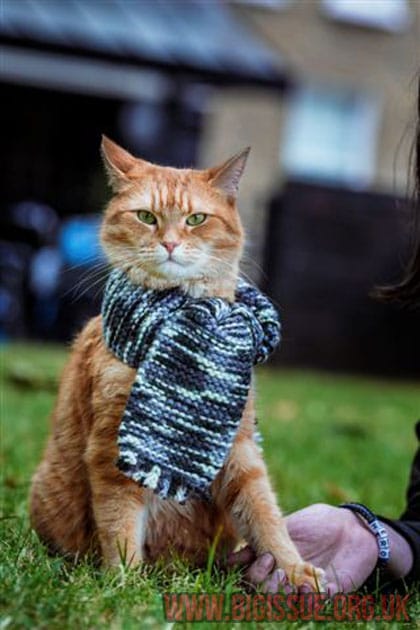 A Street Cat Named Bob: How One Man and His Cat Found Hope on the Streets