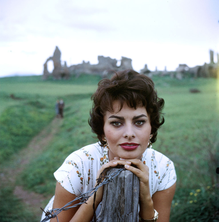 Sophia Loren