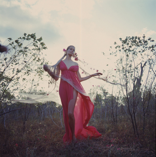Veruschka von Lehndorff Veruschka von Lehndorff