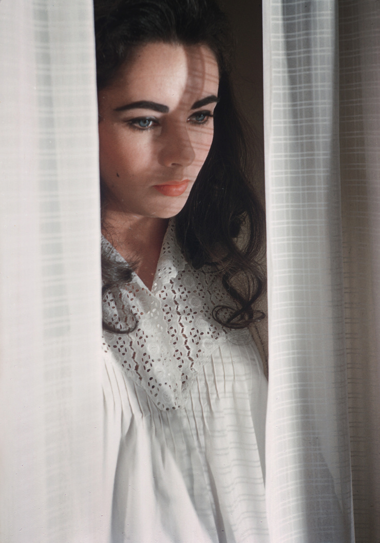Elizabeth Taylor Elizabeth Taylor